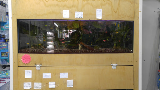 Tropical Fish Store «Aqua-Life Central», reviews and photos, 389 Wickenden St, Providence, RI 02903, USA