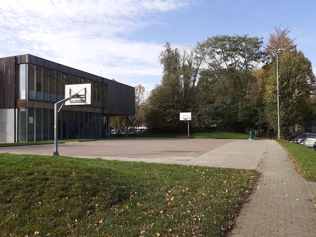 Terrain de Basket-ball du Blocry - Ottignies-Louvain-la-Neuve