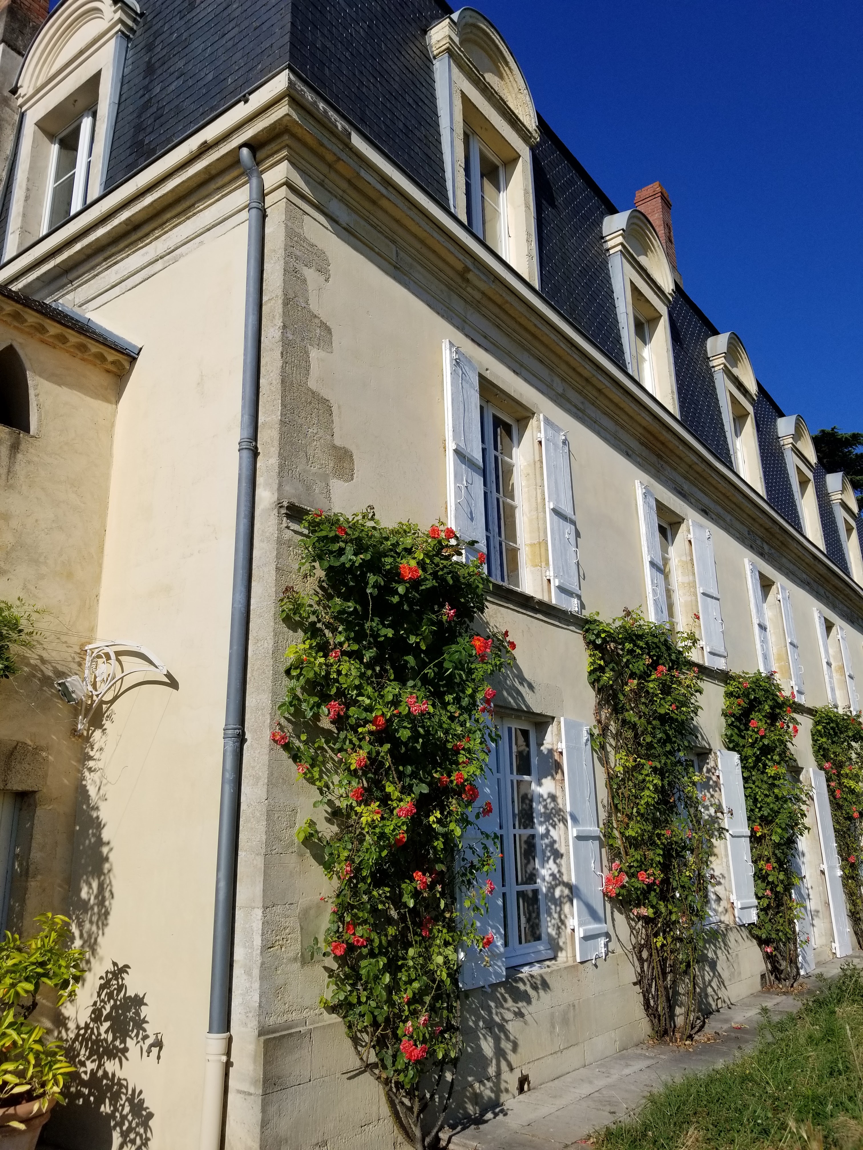 Photo n° 3 de l'avis de Yossi. fait le 30/07/2018 à 21:53