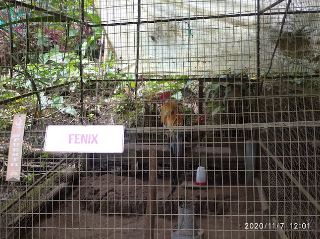 Comentarios y opiniones de Parque Real de Aves Exoticas(aviario)