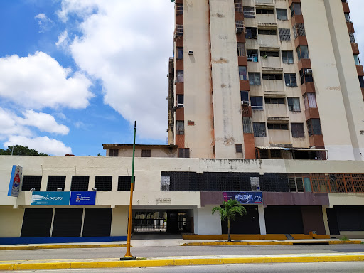 Residencias Camoruco