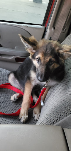 Pet Supply Store «PetSmart», reviews and photos, 7616 Denton Hwy #532, Watauga, TX 76148, USA