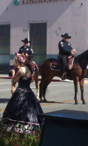 Shopping Mall «El Monte Mall», reviews and photos, 10933 Valley Mall #200, El Monte, CA 91731, USA