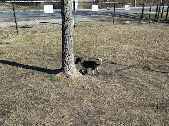 Ballentine Bark Park