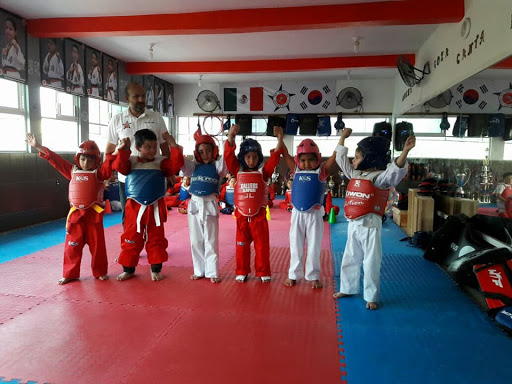 Taekwondo Casta de Campeones