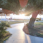 Photo n°2 de l'avis de Pietro.a fait le 01/08/2023 à 11:58 sur le  BV Kalafiorita Resort à Zambrone