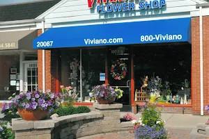 Viviano Flower Shop image