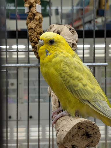 Pet Supply Store «PetSmart», reviews and photos, 1220 N Eagle Rd, Meridian, ID 83642, USA