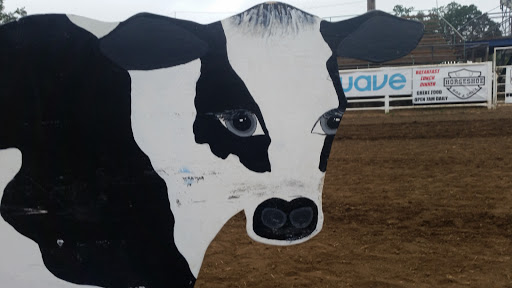 Rodeo «Molalla Buckeroo Association», reviews and photos, 815 Shirley St, Molalla, OR 97038, USA