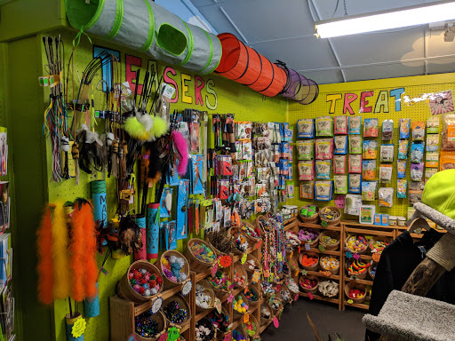 Pet Supply Store «MadCat Pet Supplies», reviews and photos, 1012 Williamson St, Madison, WI 53703, USA