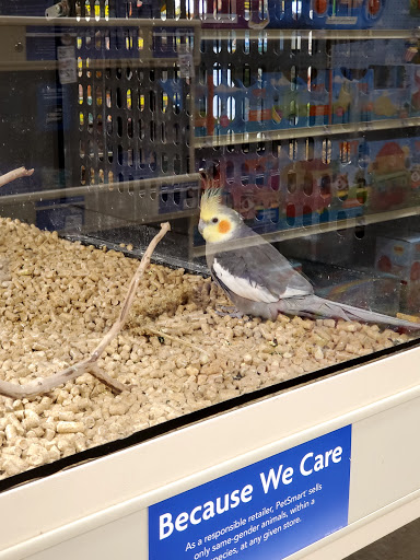 Bird shop Amarillo