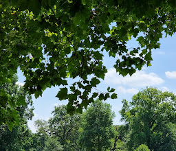Zoological Gardens Karlsruhe photo