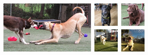 Bed and Biscuits / Groomingdales, 2625 Chanticleer Ave, Santa Cruz, CA 95065, USA, 