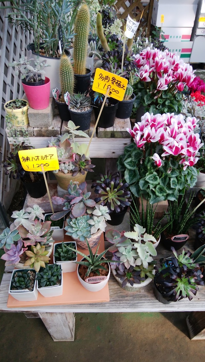 ガーデンセンター 花と木 山梨県甲斐市篠原 園芸センター グルコミ