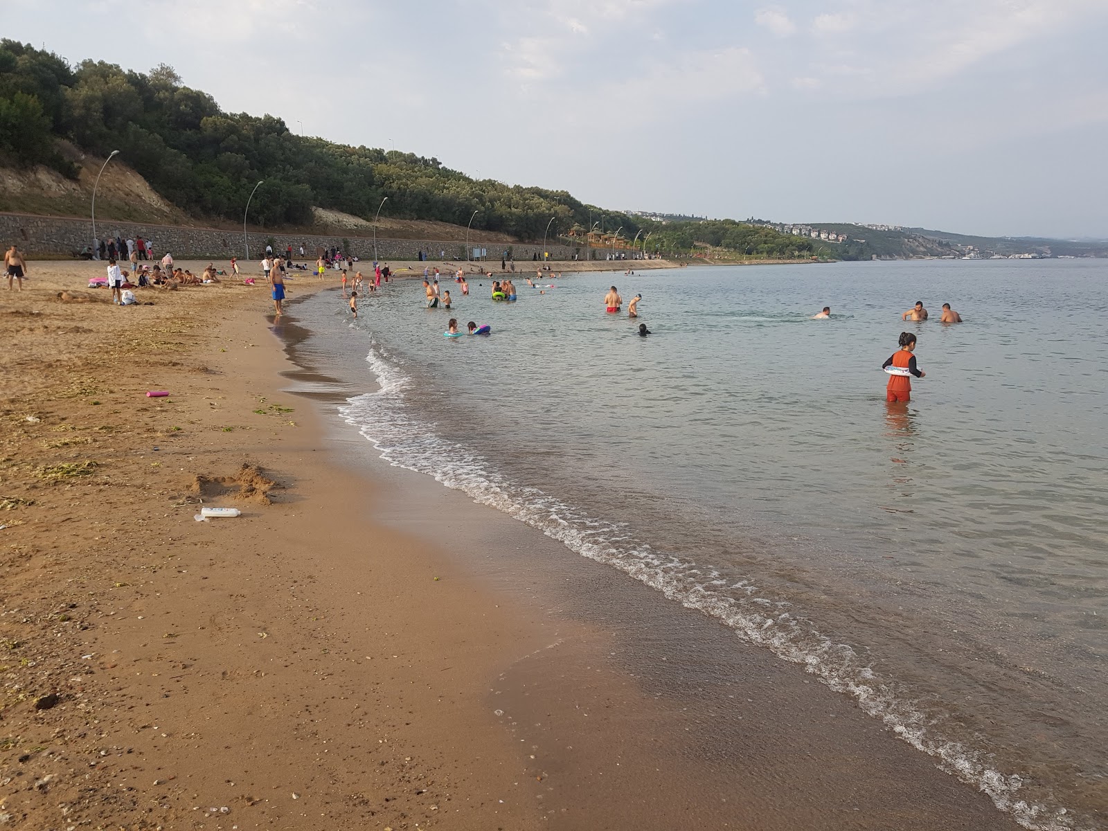 Darica beach photo #9