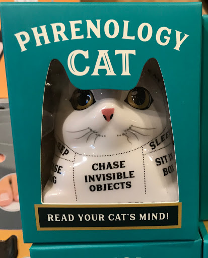 Gift Shop «Roost & Company», reviews and photos, 40 Front St, Salem, MA 01970, USA