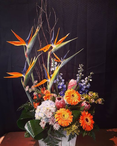 Florist «Flower Market Florist», reviews and photos, 1919 Drew St, Clearwater, FL 33765, USA