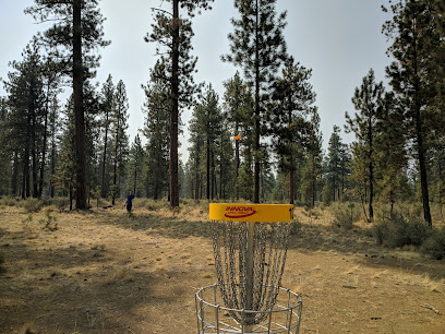 Hyzer Pines Disc Golf Course