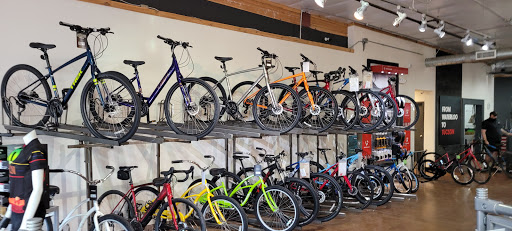 Bicycle Store «Trek Bicycle Store», reviews and photos, 1800 E Fort Lowell Rd #100, Tucson, AZ 85719, USA