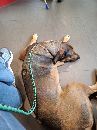 Veterinary practice Tamara Eichtmayer unter Forchheim, 