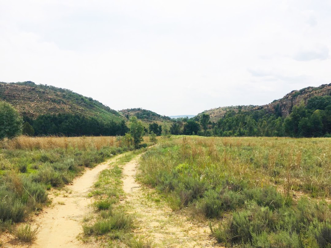 Bronkies Campsite