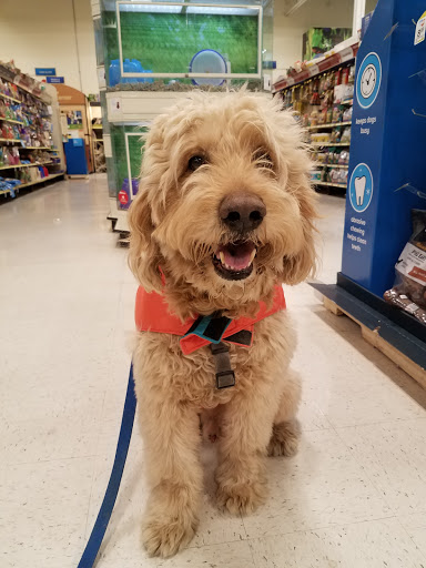 PetSmart Doggie Day Camp