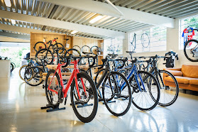 Pronghorn Bikes Skanderborg Showroom