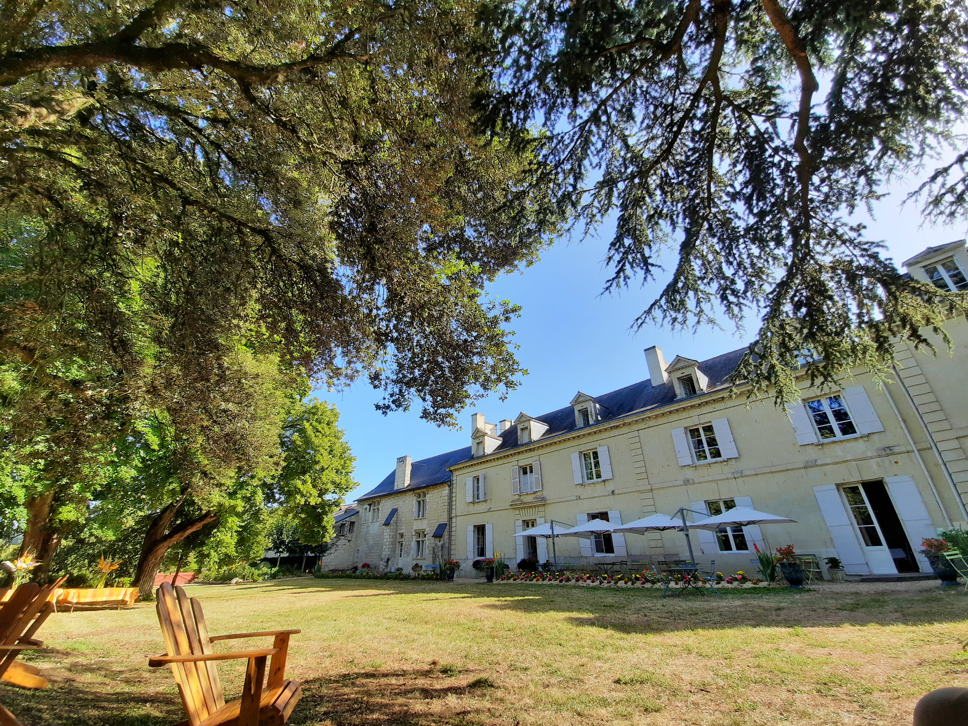 Photo n° 2 de l'avis de Wies.e fait le 20/07/2020 à 15:29
