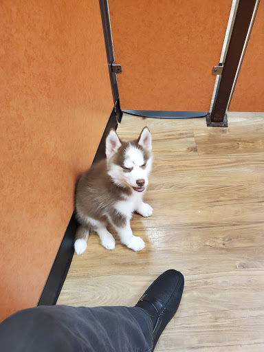 Pet Store «Fetch Pet Store», reviews and photos, 2700 Miamisburg Centerville Rd, Dayton, OH 45459, USA