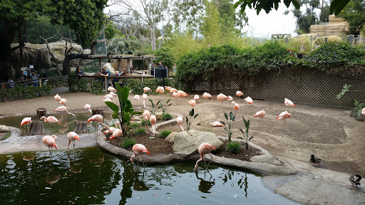 Zoo «Santa Barbara Zoo», reviews and photos, 500 Ninos Dr, Santa Barbara, CA 93103, USA