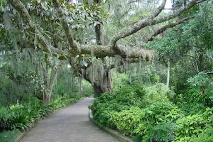 Alfred B. Maclay Gardens State Park image