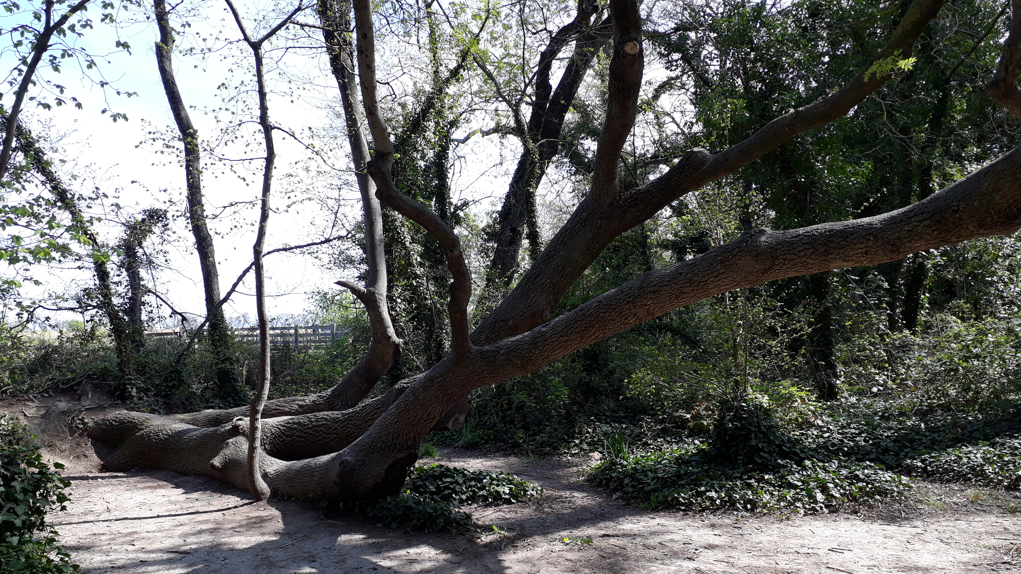 Photo n° 28 de l'avis de Cassandra.i fait le 17/03/2019 à 16:00