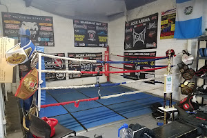 Indy Boxing and Grappling