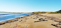 Dunnet Beach'in fotoğrafı düz ve uzun ile birlikte