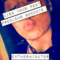 The ExtHERminator Inc. - Car repair in , Boston - Rated 5.0/5