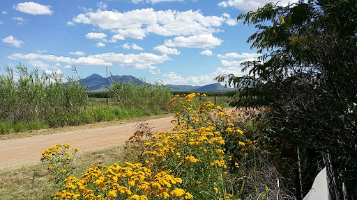 Coffee Shop «Morning Star Cafe», reviews and photos, 10428 AZ-92 # B, Hereford, AZ 85615, USA