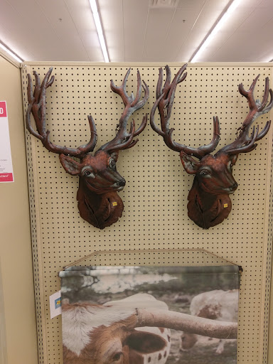 Craft Store «Hobby Lobby», reviews and photos, 3192 S Linden Rd a102, Flint, MI 48507, USA