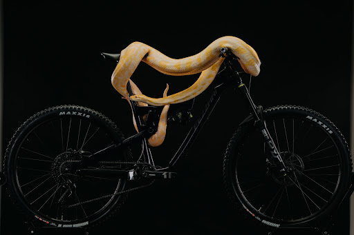 Bicycle Store «Fezzari», reviews and photos, 850 W 200 S, Lindon, UT 84042, USA