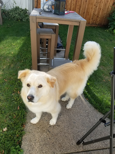 Pet Supply Store «Petco Animal Supplies», reviews and photos, 2277 Ford Pkwy, St Paul, MN 55116, USA