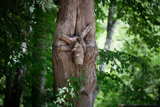 National Park «Kings Mountain National Military Park», reviews and photos, 2625 Park Rd, Blacksburg, SC 29702, USA