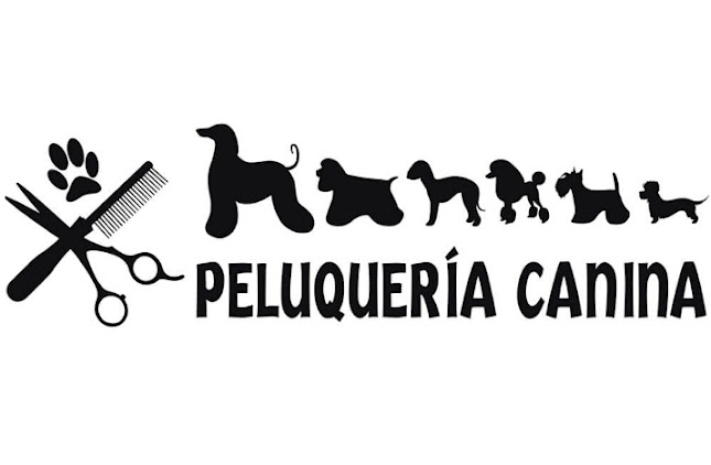 Opiniones de Peluqueria canina aukan en La Serena - Peluquería