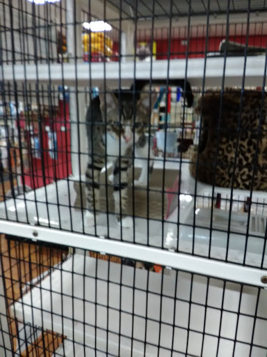 Pet Supply Store «Pet Supermarket», reviews and photos, 265 Tom Hill Sr Blvd, Macon, GA 31210, USA