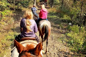 Cumberland Falls Horse Riding Stables image