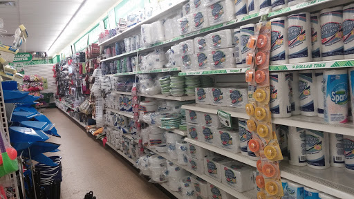 Dollar Store «Dollar Tree», reviews and photos, 8653 Columbus Pike, Lewis Center, OH 43035, USA