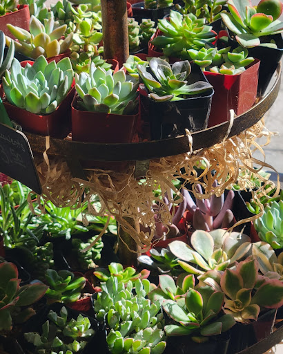 Florist «Sherwood Florist & Gift Shoppe», reviews and photos, 10239 Fair Oaks Blvd #A, Fair Oaks, CA 95628, USA