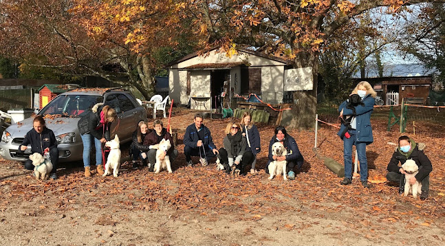 Rezensionen über AGPCC KaninDo éducateurs canin in Val-de-Ruz - Hundeschule