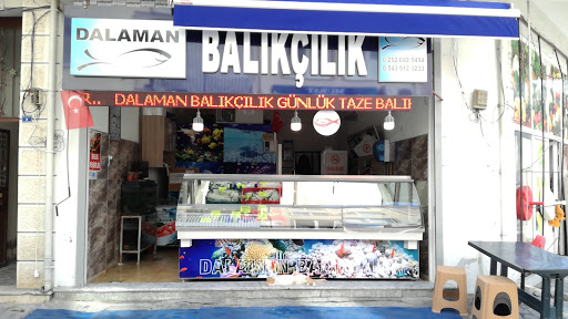 Dalaman Balıkçılık