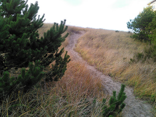 Horse Boarding Stable «Green Acres Beach & Trail Rides», reviews and photos, 5985 Pacific Ave, Cloverdale, OR 97112, USA