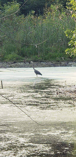 Nature Preserve «Crystal Lake Park District», reviews and photos, 330 N Main St, Crystal Lake, IL 60014, USA