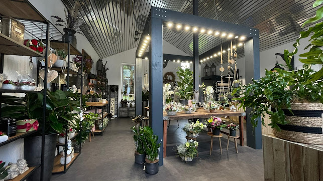 Rezensionen über Blumen Shop Kreuzlingen in Kreuzlingen - Blumengeschäft